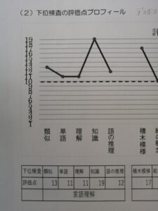 IQが高い,IQ結果